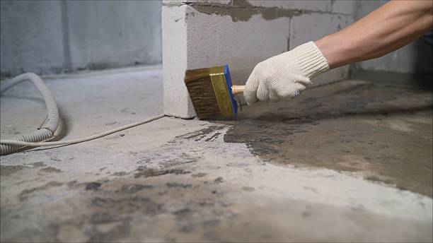 SJ Waterproofing Pros Waterproofing coverage map for Coal City, IL and surrounding area